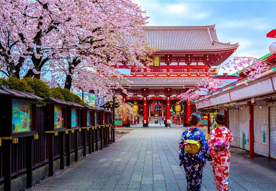 Fioritura: Guida completa alla fioritura dei ciliegi in Giappone - JAPAN  AIRLINES (JAL)