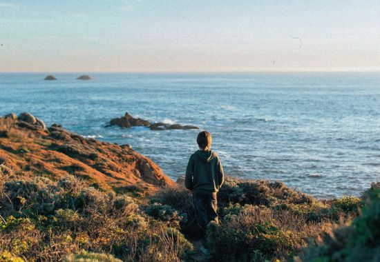 Big Sur: esplorando la costa della California