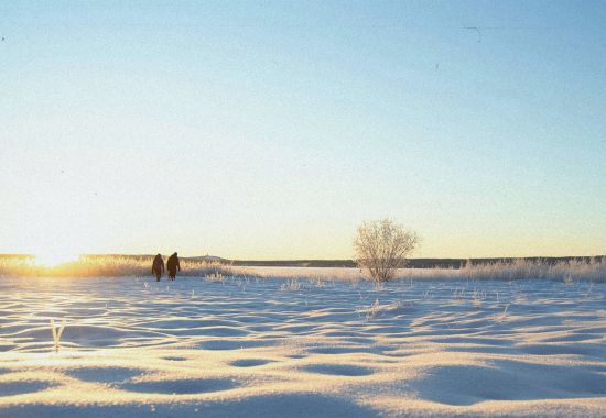 Scoprite le meraviglie della Lapponia. Da Luleå alle emozionanti escursioni con husky e motoslitta, vivete un'esperienza indimenticabile nel Grande Nord.