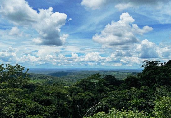 Alla scoperta della Flora e Fauna di Mondulkiri