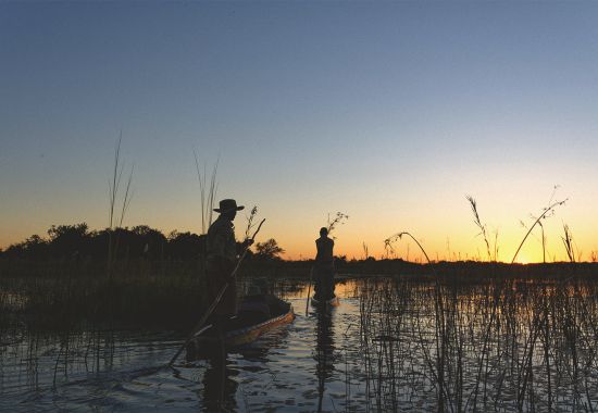 6 esperienze straordinarie in Botswana tra safari e natura 6 esperienze straordinarie in Botswana tra safari e natura
