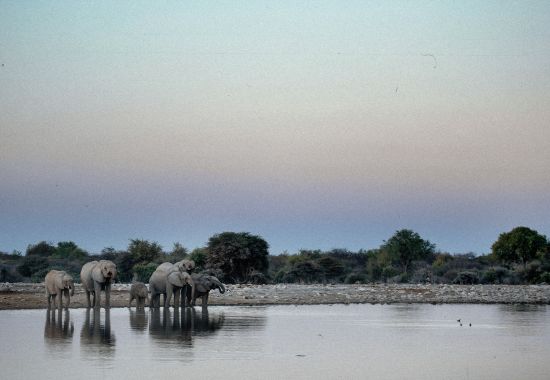 Ngorongoro Crater: avventura tra i Big Five