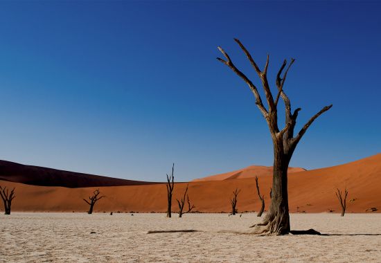 Viaggi in Africa: 7 esperienze uniche tra natura e avventura Viaggi in Africa: 7 esperienze uniche tra natura e avventura