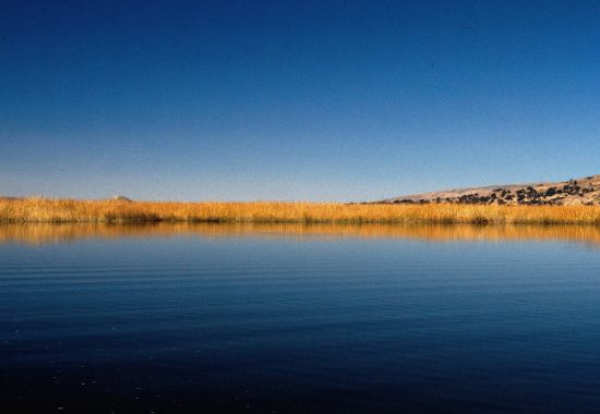 Scopriamo il Lago Titicaca: Il Più Alto del Mondo