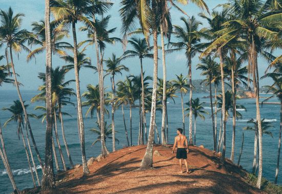 Sri Lanka: natura e spiagge selvagge