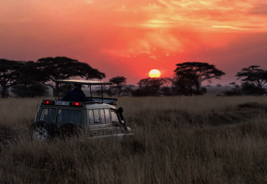 Tanzania: 3 Periodi per il Miglior Safari