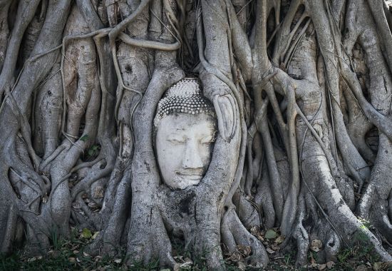 Esplorando Ayutthaya: L'antica capitale del Siam