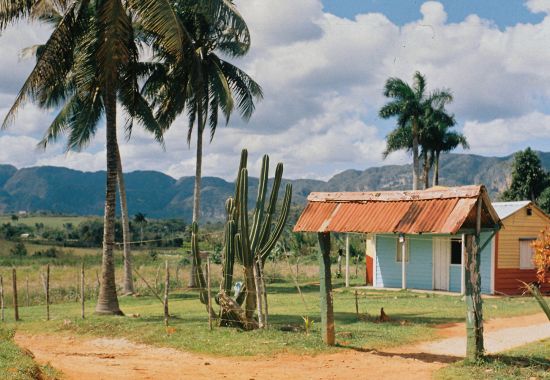 Cuba: guida alle meraviglie dell'Isola Caraibica