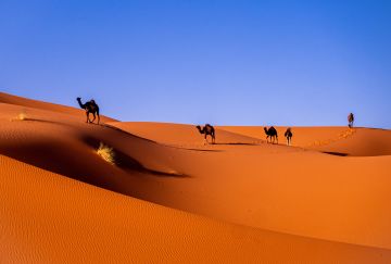 Marocco: nel deserto sulla via delle antiche carovane Marocco: nel deserto sulla via delle antiche carovane
