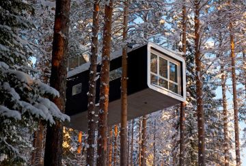 Lapponia Svedese: Husky, TreeHouse & Aurora Boreale Lapponia Svedese: Husky, TreeHouse & Aurora Boreale