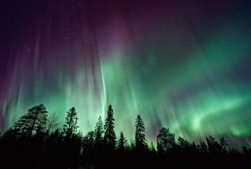 Lapponia Svedese: Avventura Artica & Aurora Boreale Lapponia Svedese: Avventura Artica & Aurora Boreale