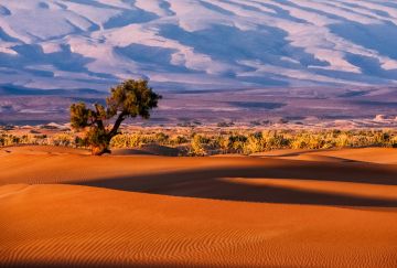 Le mille e una foto: viaggio in Marocco con corso fotografico sul campo