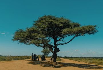 Viaggio di gruppo solidale Uganda e gorilla Viaggio di gruppo solidale Uganda e gorilla