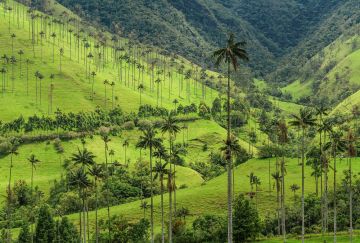 Colombia