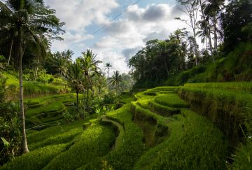 Indonesia: Bali e Gili