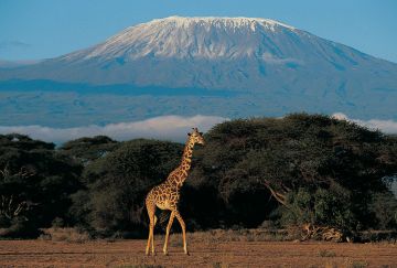 Viaggi di gruppo Kilimangiaro e Zanzibar Viaggi di gruppo Kilimangiaro e Zanzibar