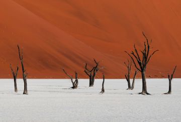 Namibia Safari Namibia Safari