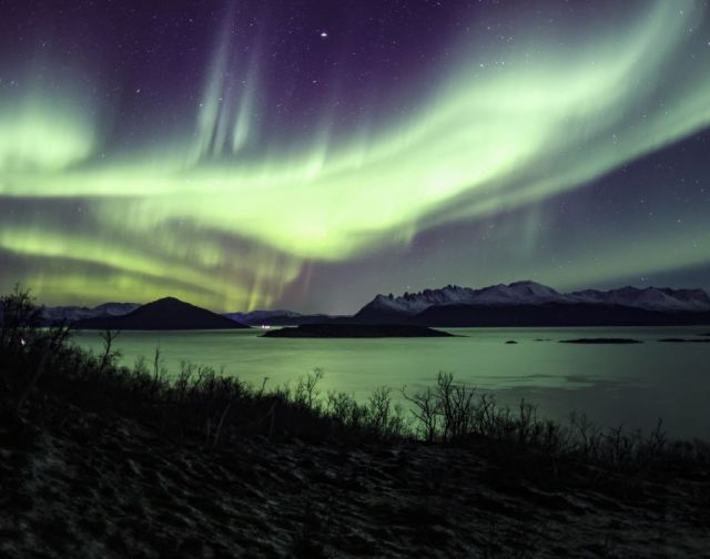 Norvegia: Orche & Aurora Boreale