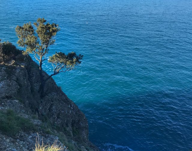 Golfo Paradiso: trekking, cultura, natura  e... focaccia!