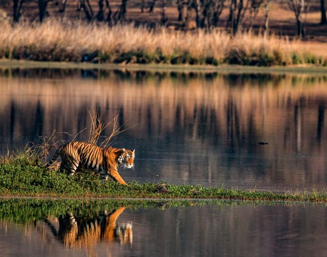 Viaggio di gruppo in India