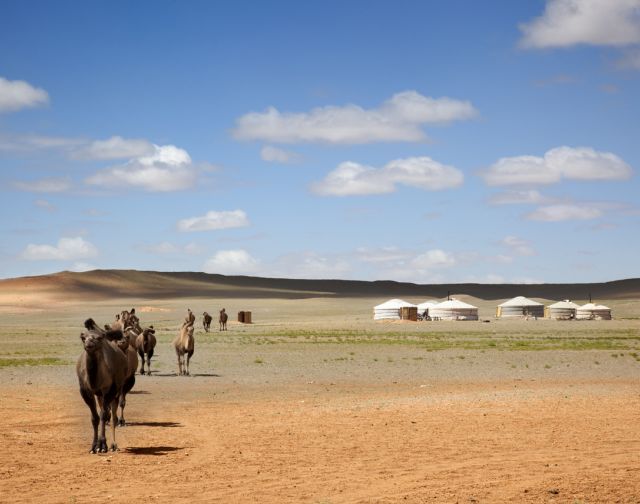 Mongolia Selvaggia