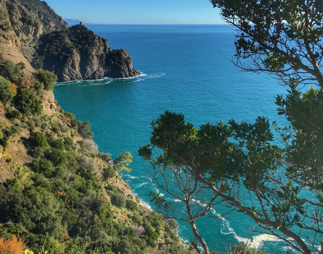 Golfo Paradiso: trekking, cultura, natura  e... focaccia!