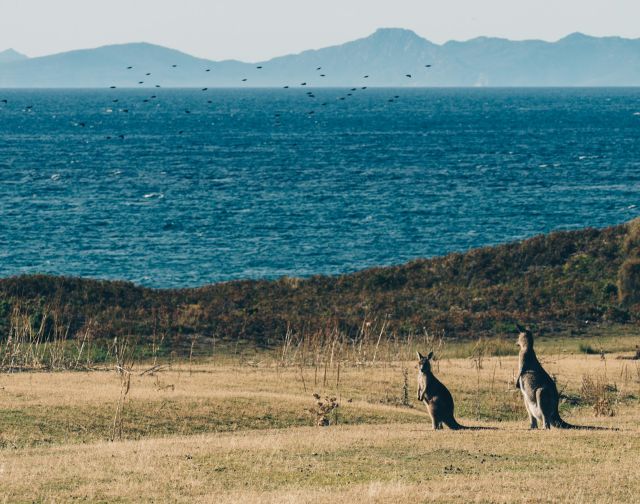 Viaggio di gruppo in Australia