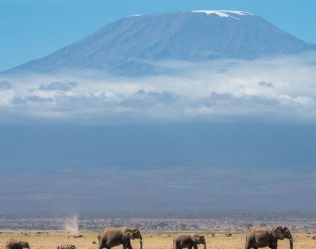 Viaggio di gruppo in Kenya