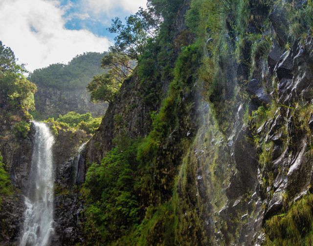 Madeira con Mente Nomade