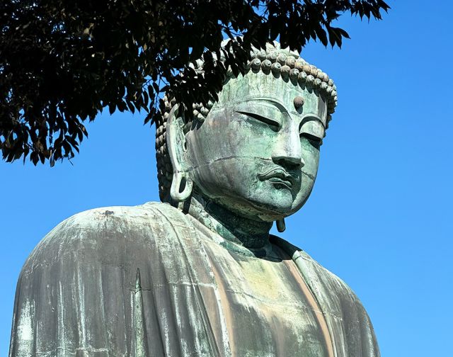 Tokyo Safari Tokyo Safari