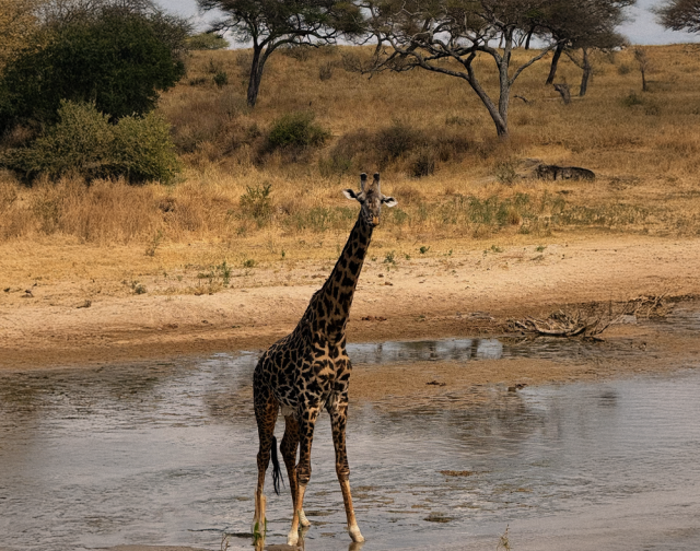 Viaggi di gruppo Kilimangiaro e Zanzibar Viaggi di gruppo Kilimangiaro e Zanzibar