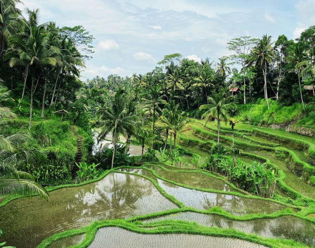 Viaggio di gruppo in Indonesia Bali e Gili