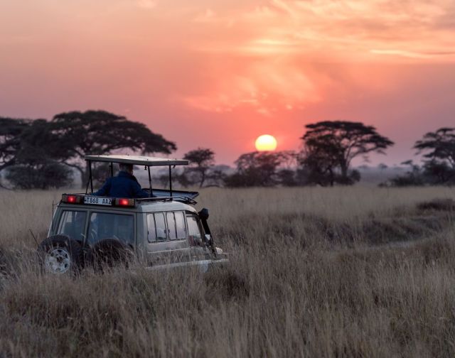 Viaggio di gruppo Zanzibar Capodanno