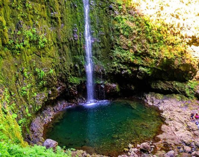 Madeira con Mente Nomade