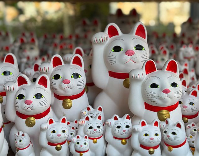 Tokyo Safari Tokyo Safari