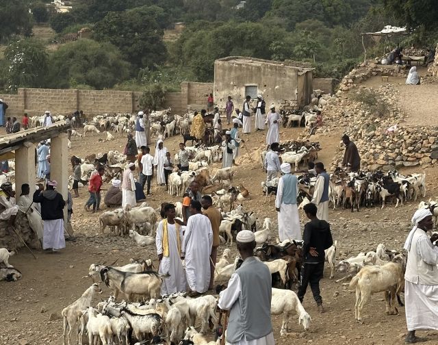 Viaggio in Eritrea