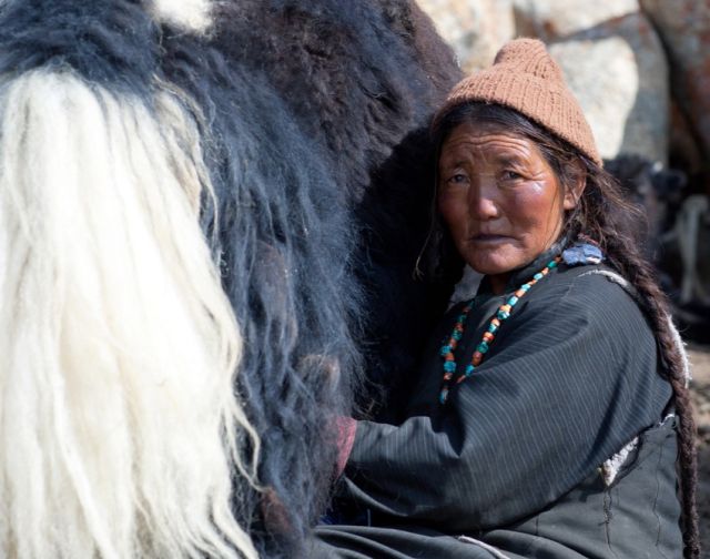 Ladakh: tra montagne e monasteri con Sara Melotti