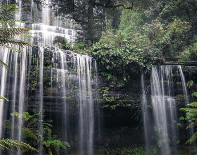 Viaggio di gruppo in Australia