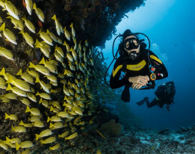 Maldive Diving