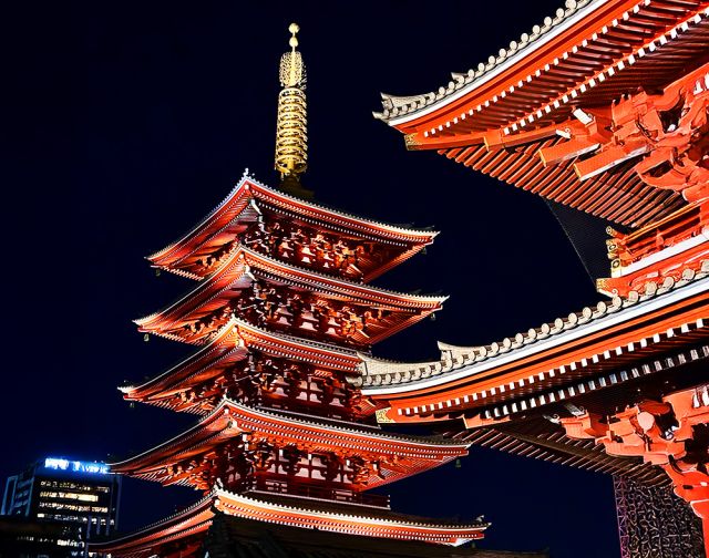 Tokyo Safari Tokyo Safari