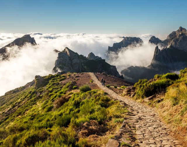 Madeira con Mente Nomade