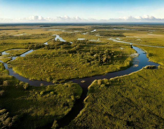 Brasile: da Rio ai giaguari del Pantanal