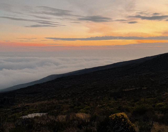 Viaggi di gruppo Kilimangiaro e Zanzibar Viaggi di gruppo Kilimangiaro e Zanzibar