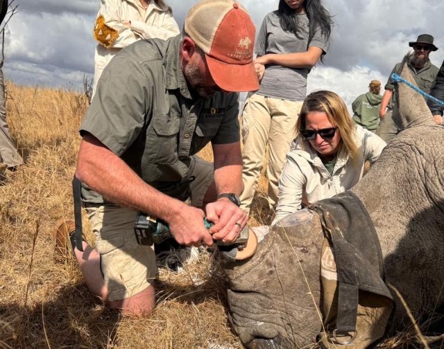 Viaggio di gruppo in Sudafrica