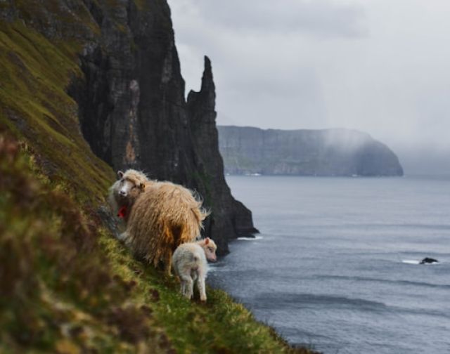 Viaggio alle Isole Faroe