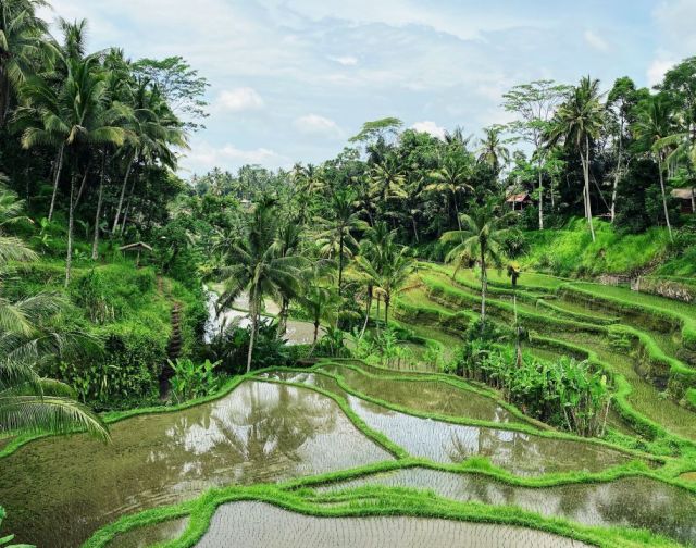 Viaggio di gruppo in Indonesia Bali e Java