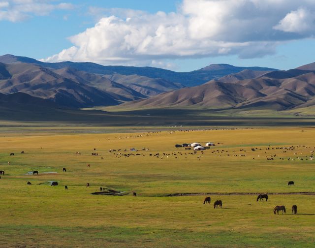 Mongolia Selvaggia