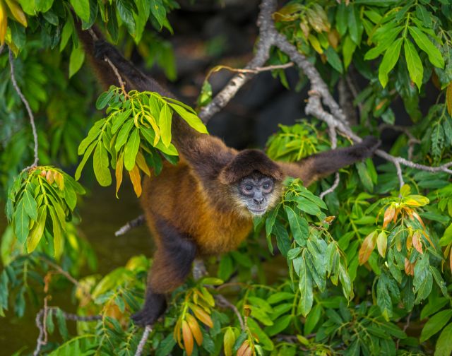 Viaggio di gruppo in Nicaragua