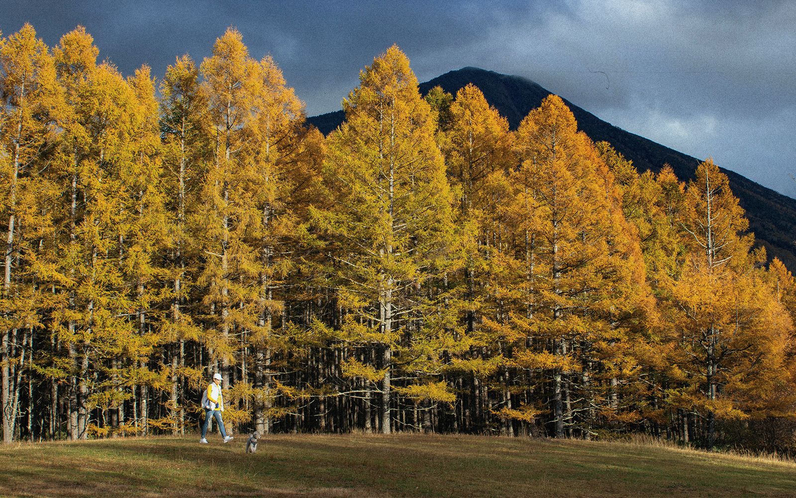 Giappone: i migliori 8 luoghi per il foliage