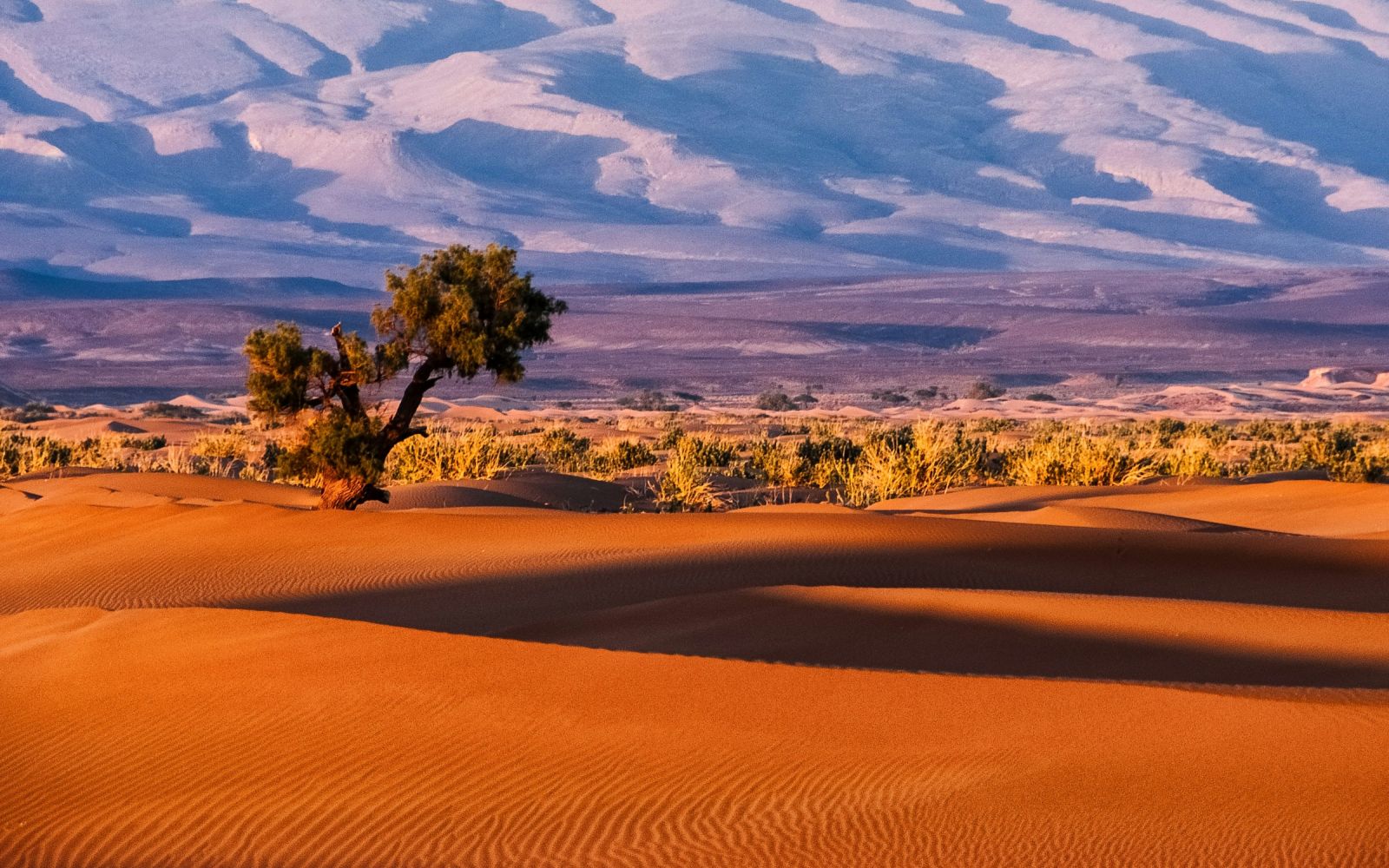 Le mille e una foto: viaggio in Marocco con corso fotografico sul campo